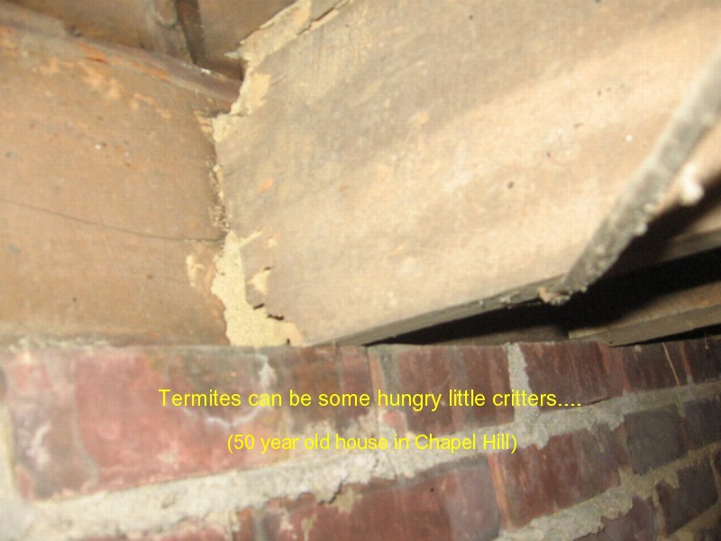 Palm Home Inspection structural inspection photo 19