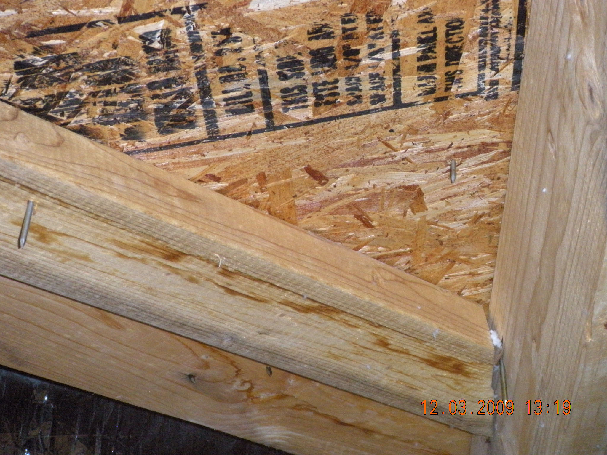 Palm Home Inspection exterior inspection photo 39