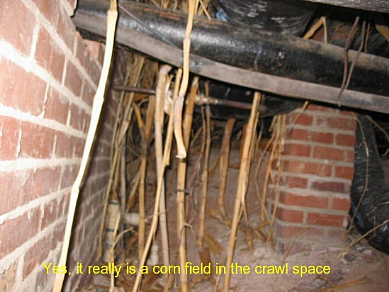 Palm Home Inspection home inspection photo 4