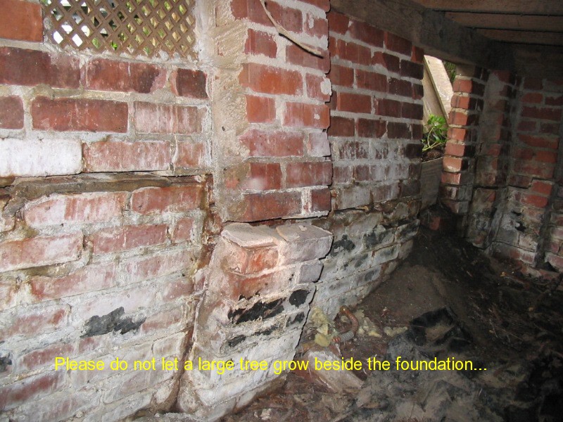 Palm Home Inspection thermal imaging photo 8