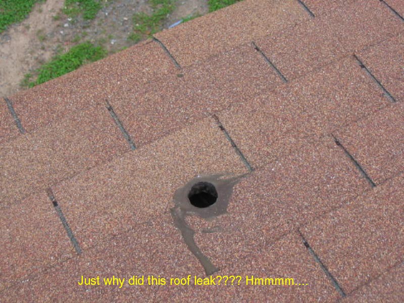 Palm Home Inspection thermal imaging photo 9